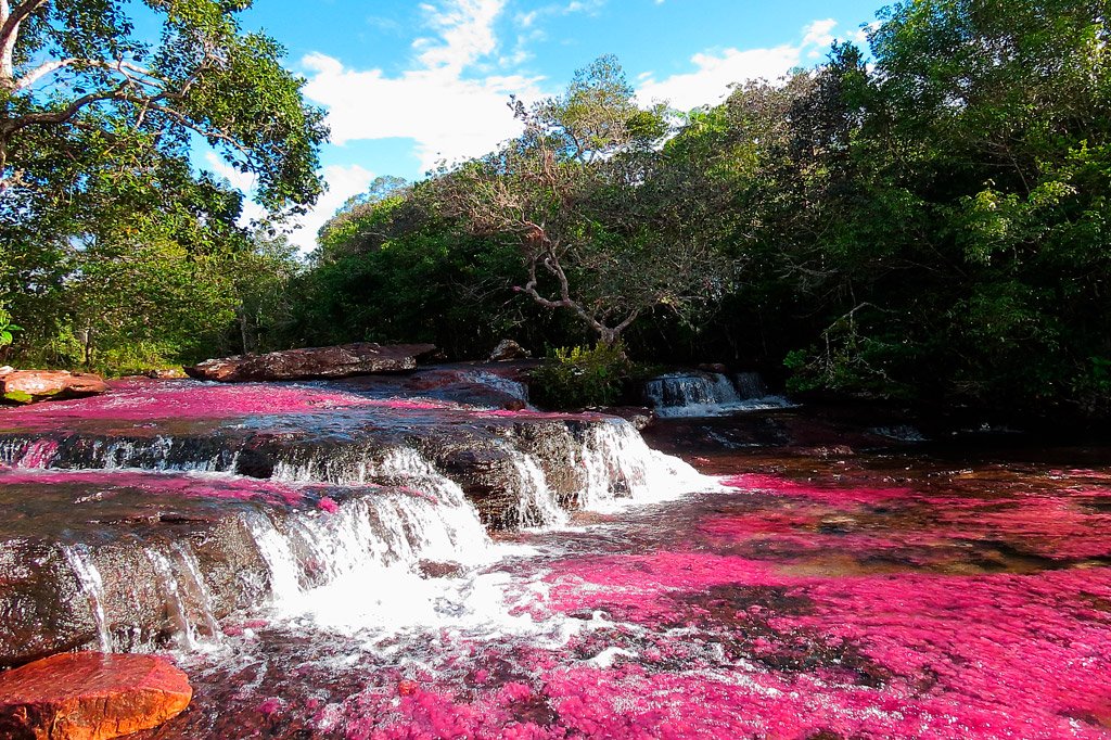 https://inmergecolombia.com/wp-content/uploads/2024/10/sitios-turisticos-guaviare1.jpg